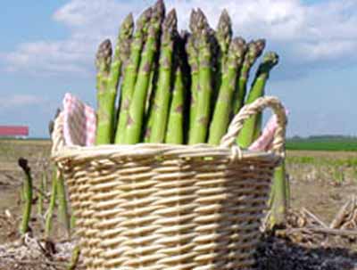 農産資材・肥料